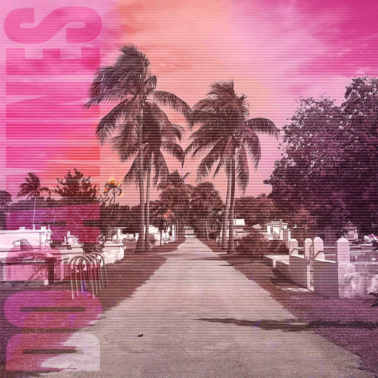 Vinyl album cover with a distorted, pink-toned tropical cemetery scene.