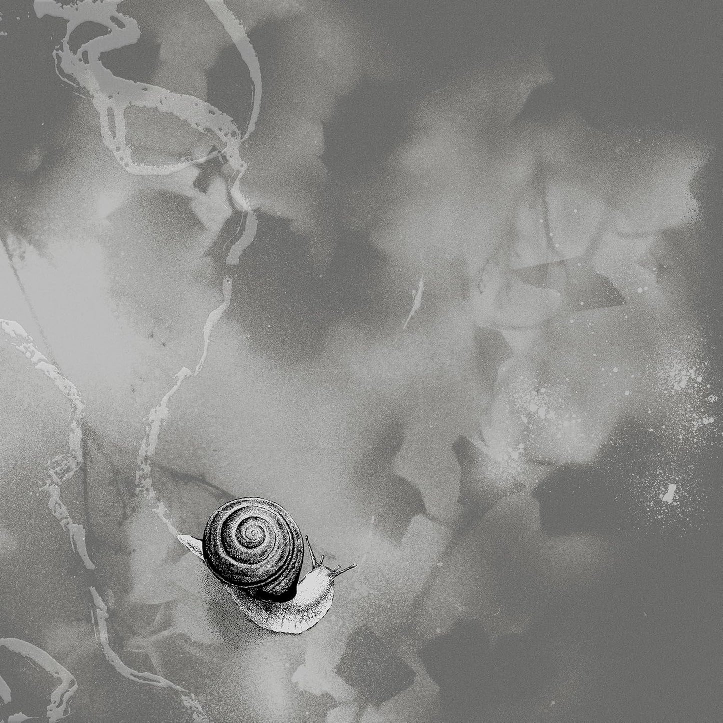 Black and white album cover featuring a snail and swirling lines.