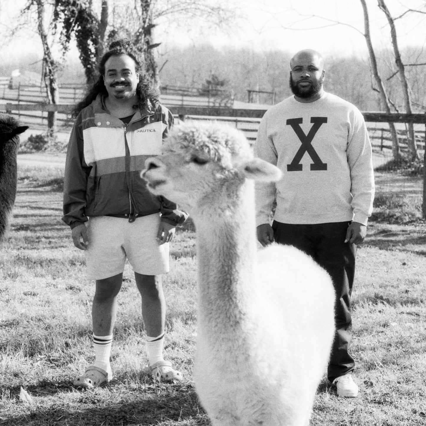 Black and white photo of two men and a white alpaca in a field.