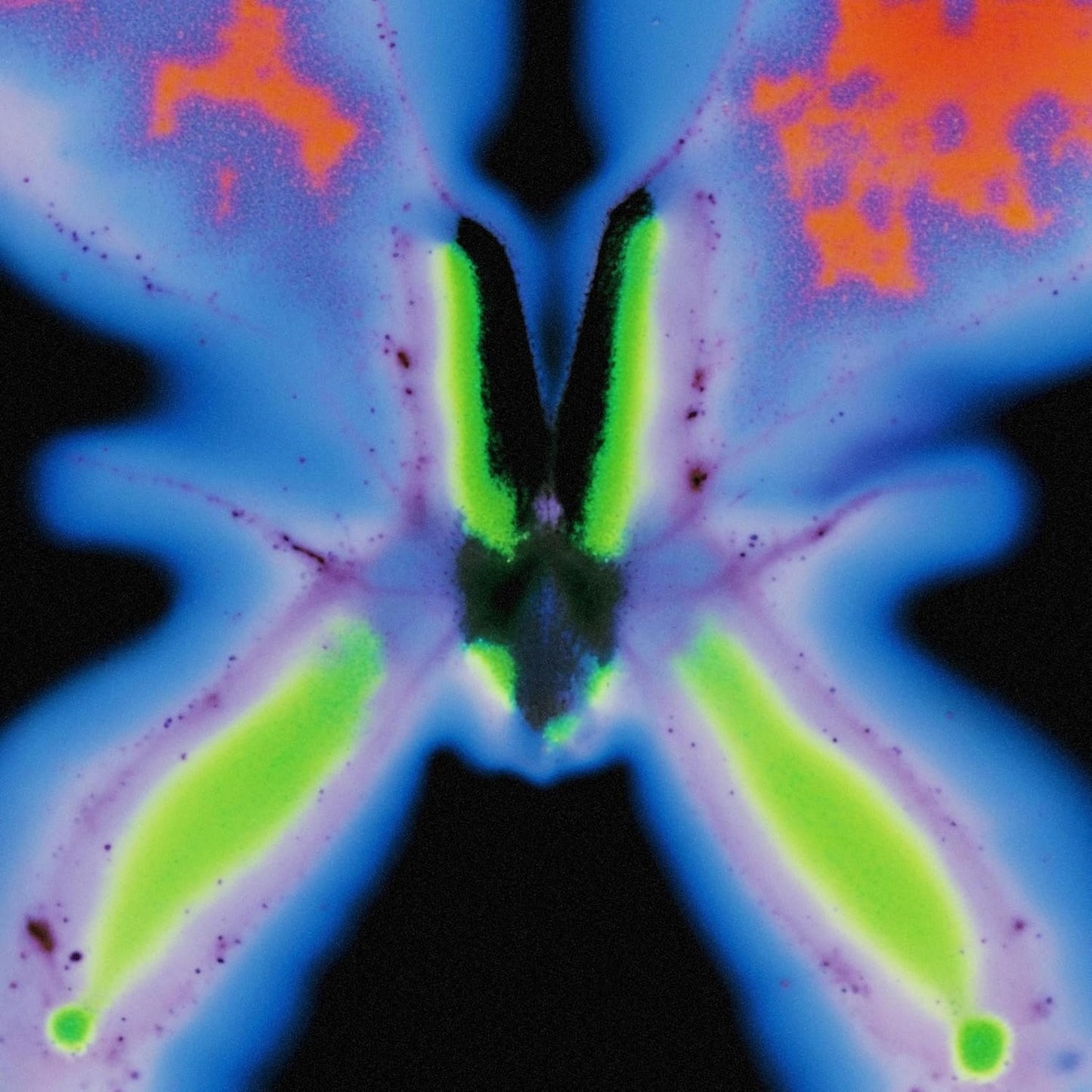 Abstract butterfly image with vibrant blue, green, and orange hues.