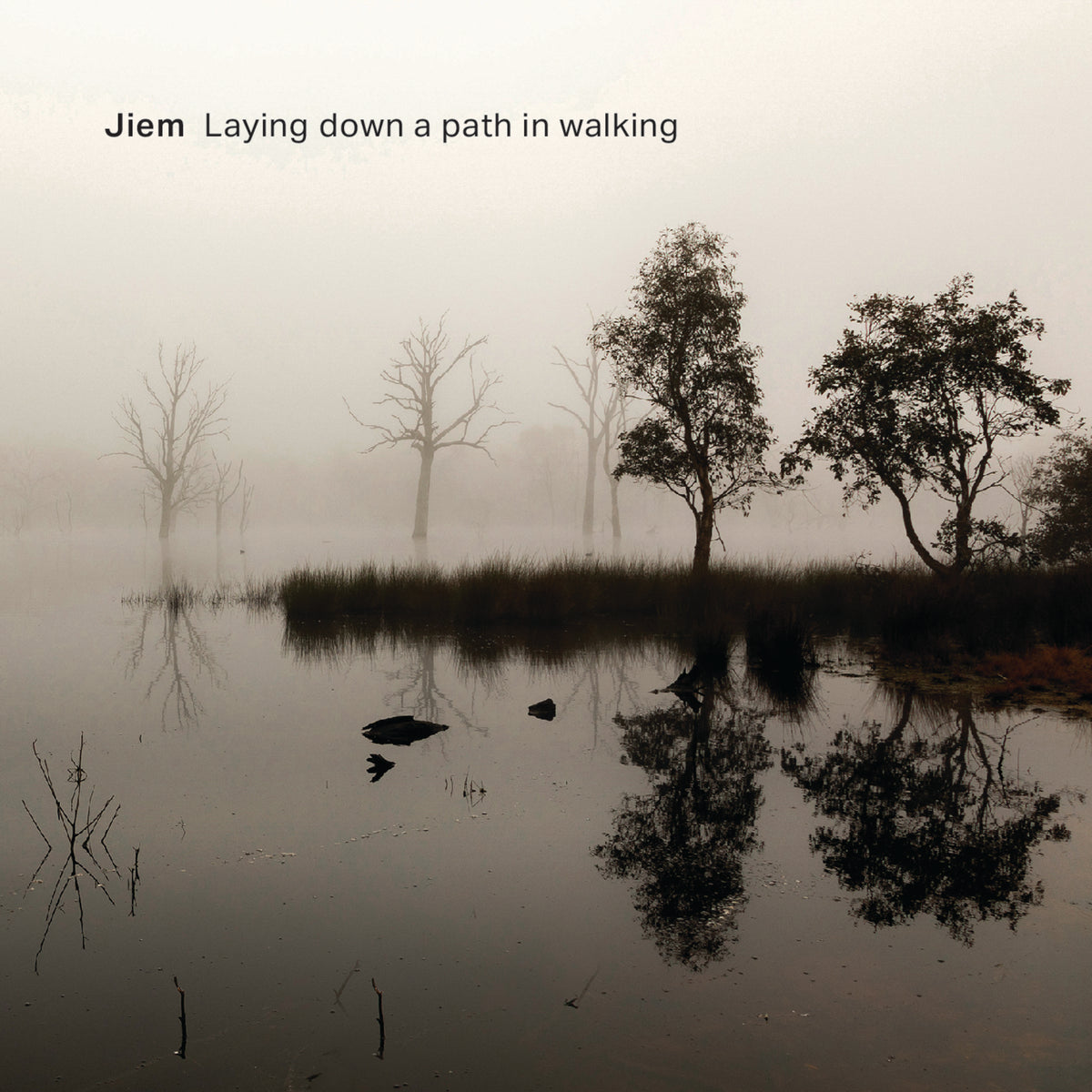 Foggy landscape with silhouetted trees reflected in still water.