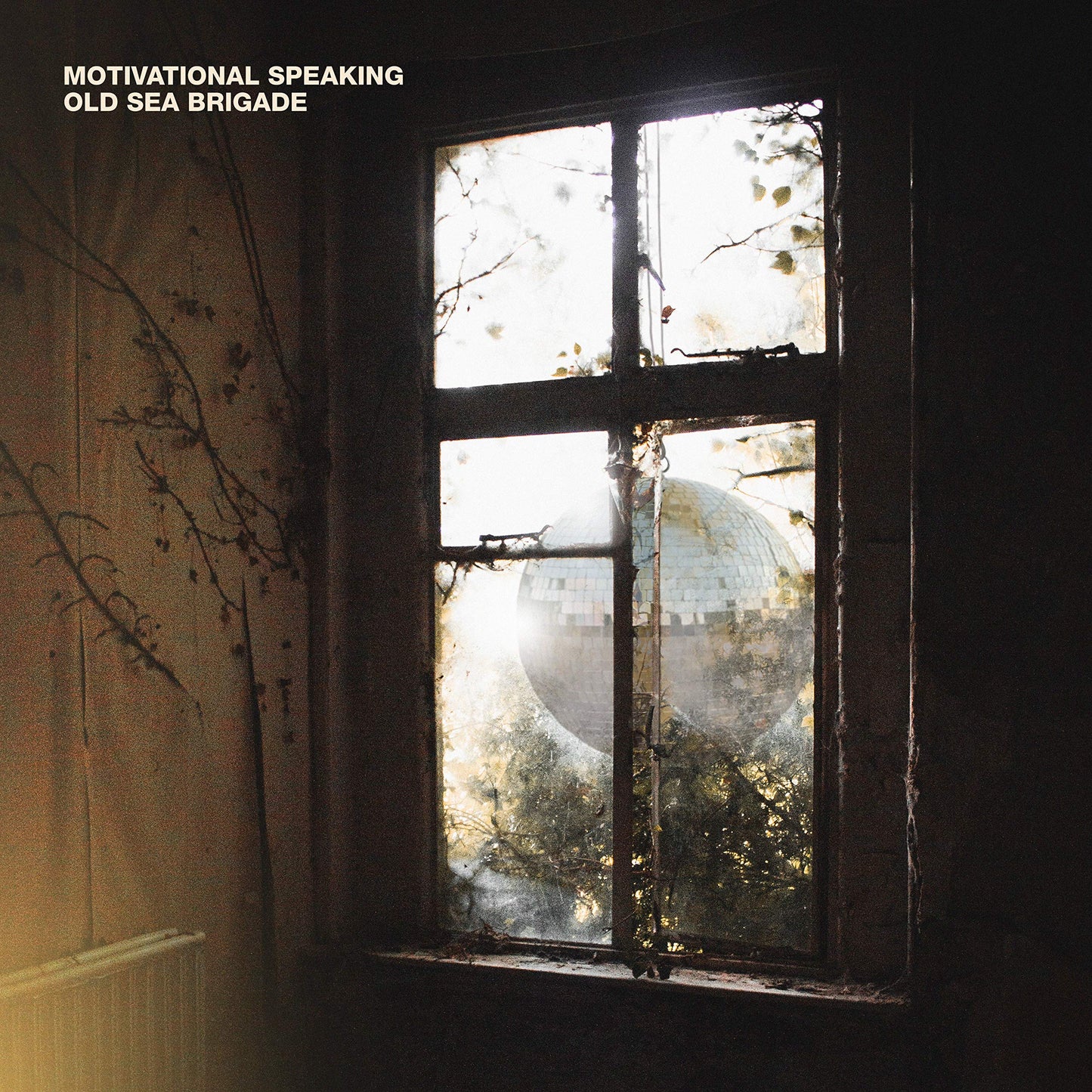 Vinyl album cover: a window view with branches and a disco ball.