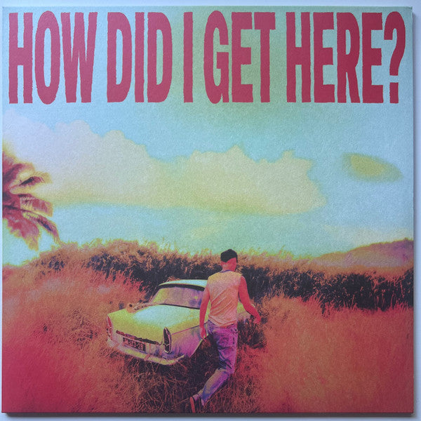 Vinyl cover featuring a man walking toward a vintage car in a grassy field.