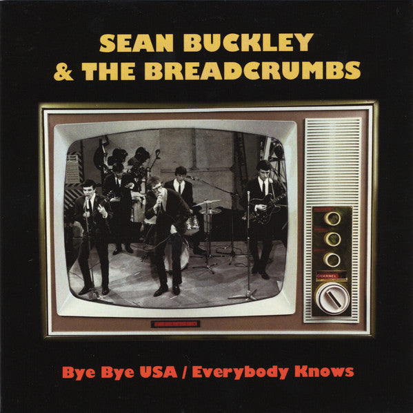 Vinyl record cover featuring a band performing on a vintage television.
