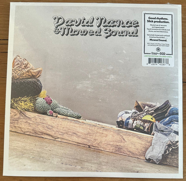 Vinyl record cover featuring a surreal landscape with produce and footwear.