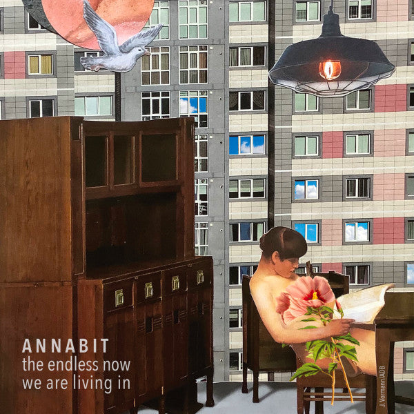 CD cover with collage of building, bird, furniture, and person.