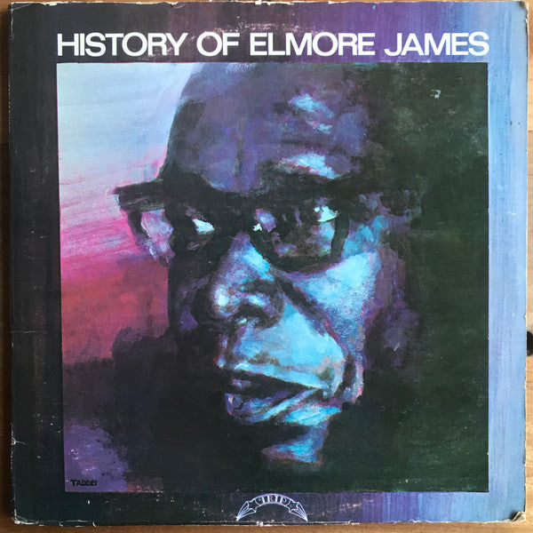 LP record cover featuring a painted portrait of Elmore James.