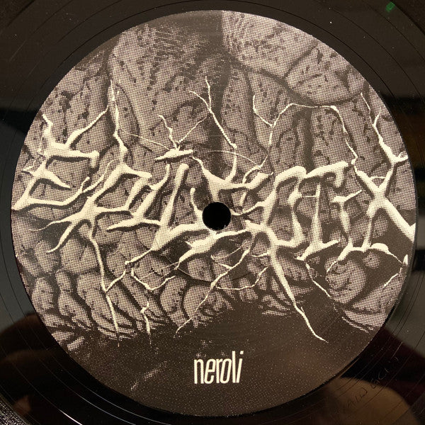 Black vinyl record with abstract white and grey jagged design and text.