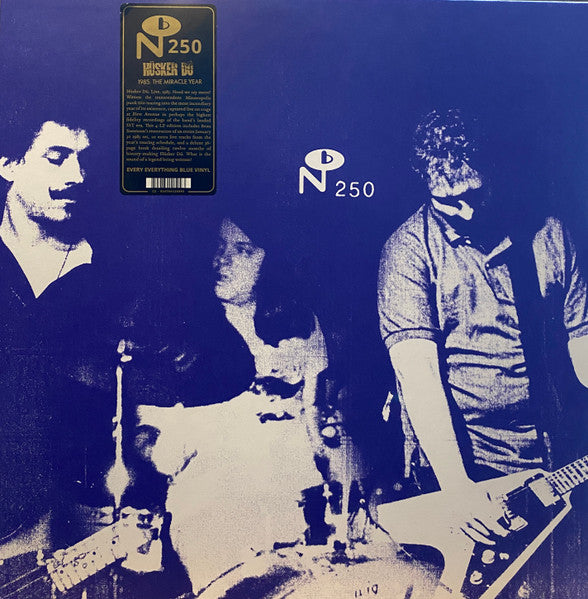 Husker Du album cover: band photo on a blue, textured background.