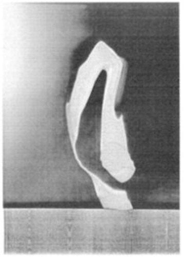 Black and white abstract image of a swirling, ribbon-like shape.