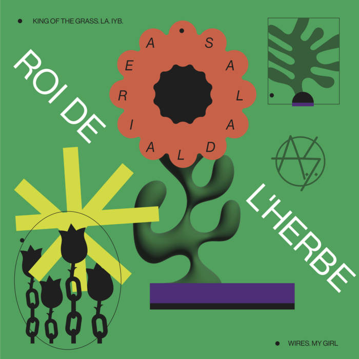 Abstract album cover with text, shapes, and botanical illustrations on green.