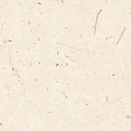 Close-up of textured, off-white paper with visible plant fibers.