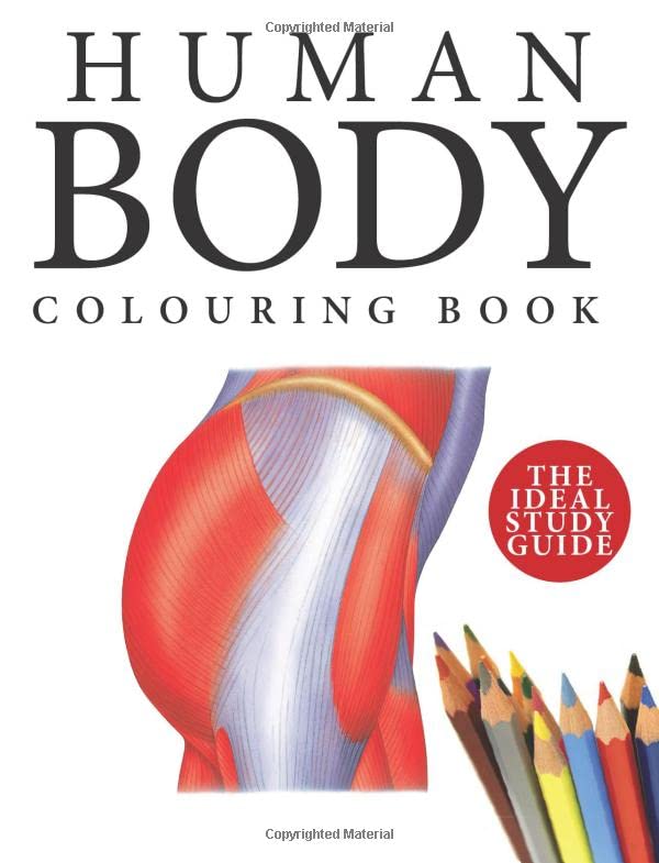 Human body colouring book cover with anatomical illustration and pencils.