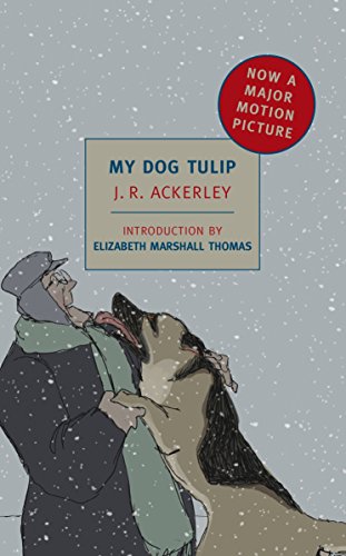 Book cover depicting a man and large dog in a snowy scene.