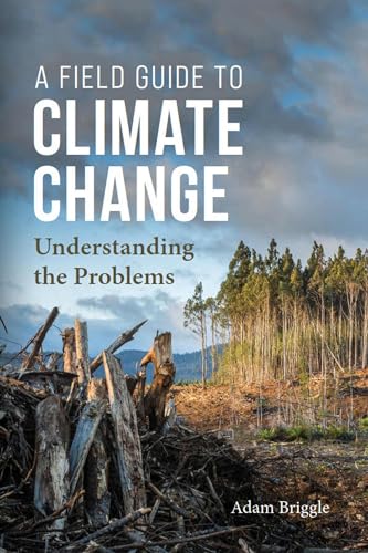 Book cover showing a deforested landscape with piles of wood and a cloudy sky.
