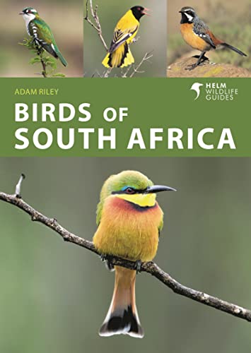 Book cover featuring colorful South African birds, titled "Birds of South Africa".