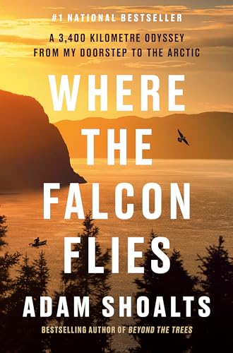 Book cover: mountains, water, falcon, and a small kayak below.