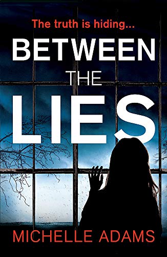 Book cover: dark silhouette by a window, stormy landscape visible.