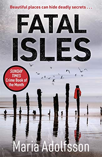Book cover featuring wooden posts on a beach with birds flying overhead.