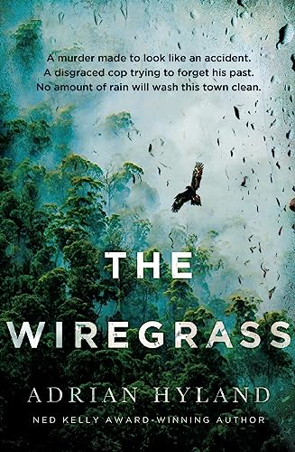 Book cover: forest landscape with a soaring eagle and large title text.