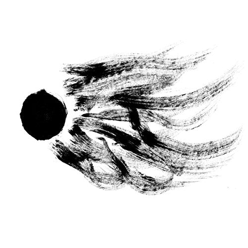 Black and white abstract brushstroke design for the "Dissidentova" CD.