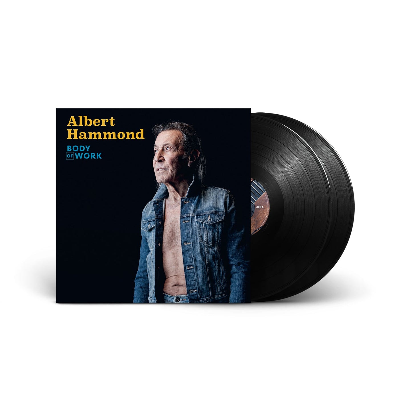 Albert Hammond "Body Of Work" album cover with vinyl record shown.