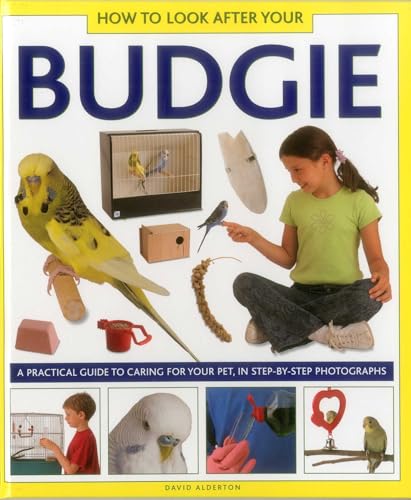 Book cover showing a girl with a budgie and bird care items.