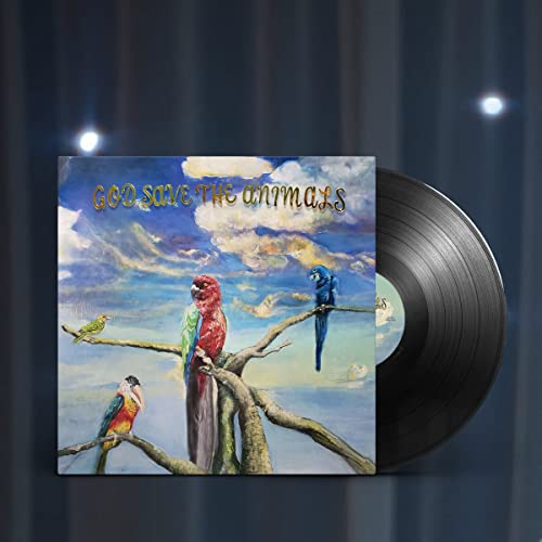 Alex G’s “God Save The Animals” vinyl record with painted bird cover.