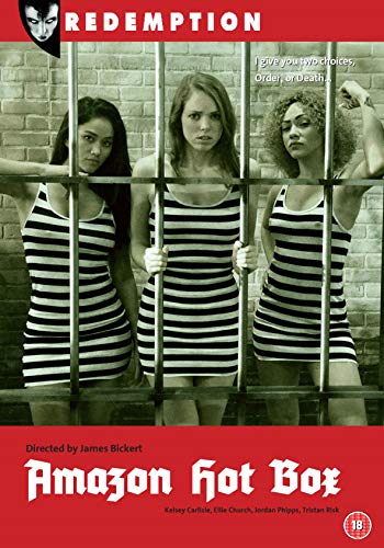 DVD cover for "Amazon Hot Box" featuring three women behind bars.