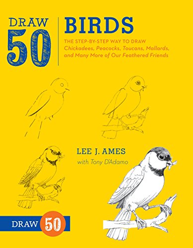 Yellow book cover with sketches of birds and “Draw 50 Birds” text.