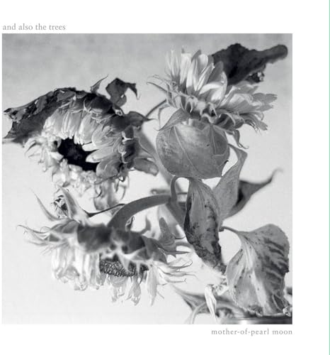 Black and white album cover featuring wilting sunflowers and text.