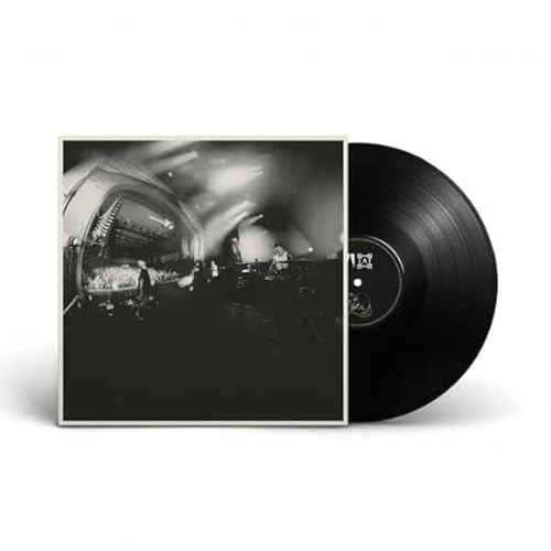 Vinyl record and album cover for "Megafauna" by And So I Watch You From Afar.