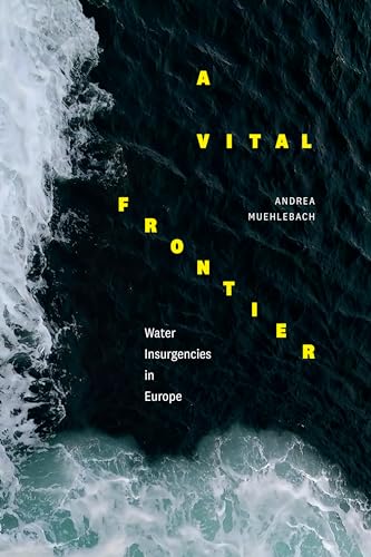 Book cover: “A Vital Frontier” with turbulent water imagery.