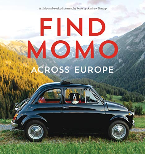Book cover: black car with a dog, Momo, in the driver’s seat.