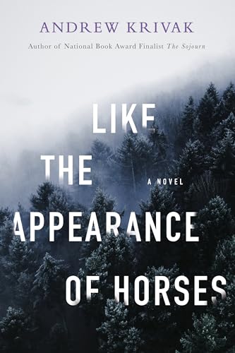 Book cover with large white text over a misty, dark forest scene.