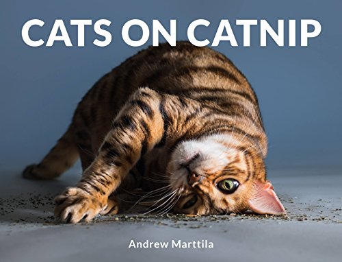 Andrew Marttila - Cats on Catnip