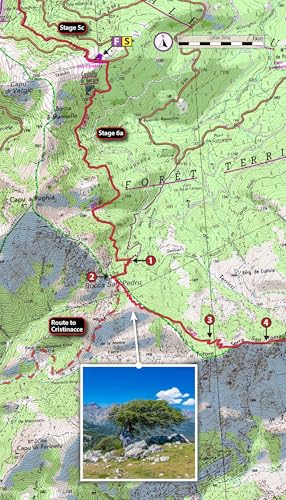 Topographic map section of the Corsica GR20 trail with an inset photo of scenery.
