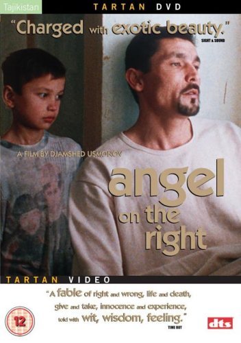 Man and young boy on DVD cover for Angel On The Right film.