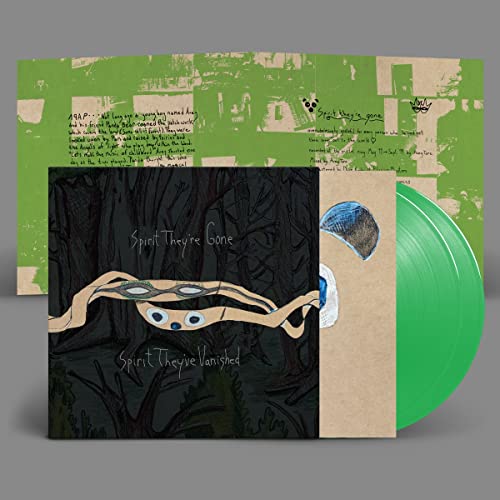 Animal Collective vinyl record with green disc, illustrated cover, and printed inner sleeve.