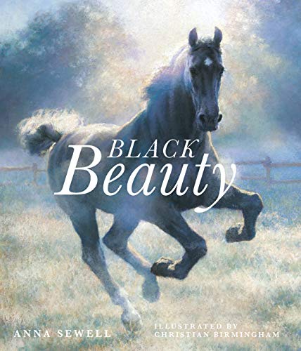 Book cover depicting a black horse running in a grassy field.