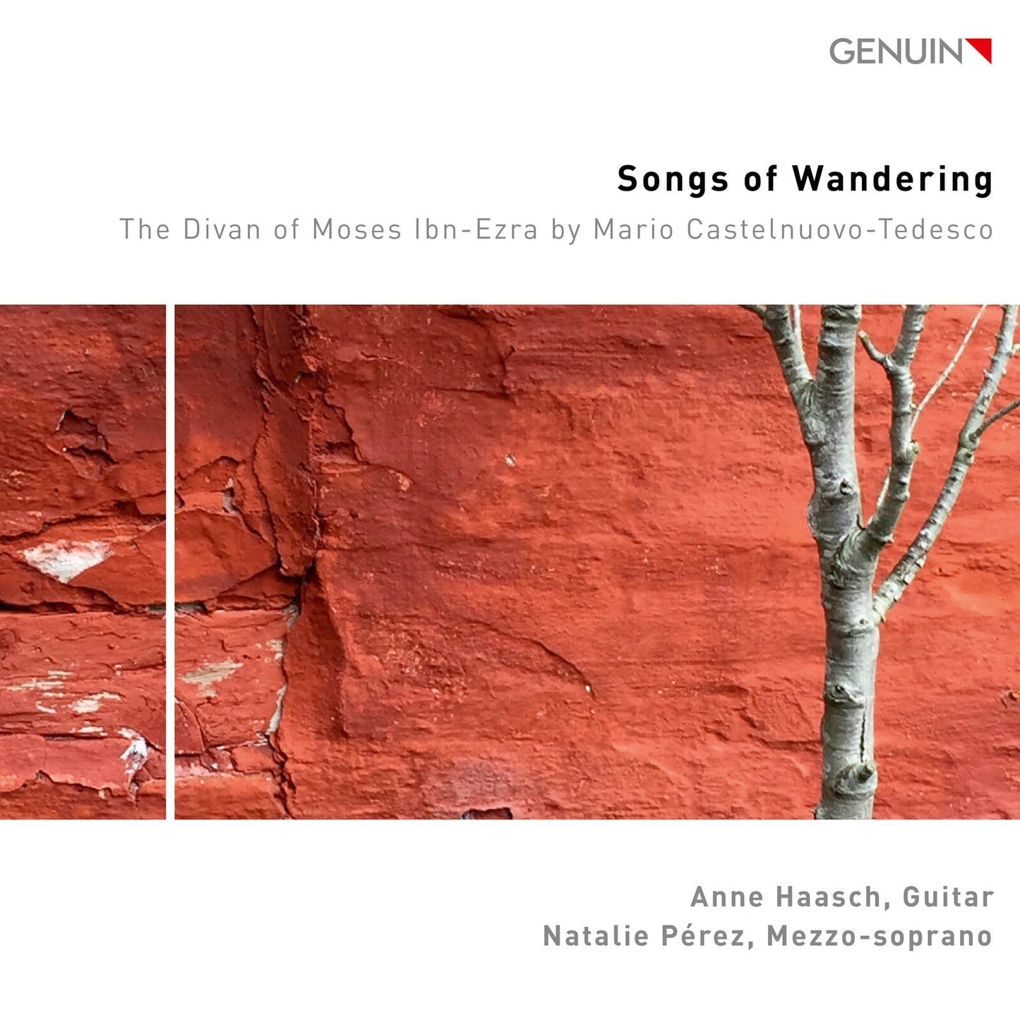 CD cover for "Songs of Wandering" featuring textured red rock imagery.