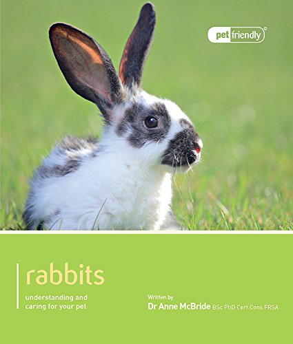 A black and white rabbit sits in green grass on this book cover.