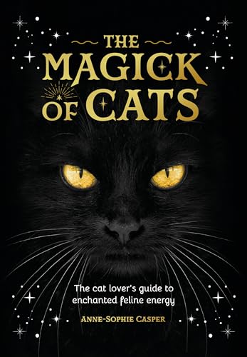 Book cover: close-up of a black cat’s face with golden eyes.