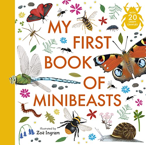 Book cover titled My First Book of Minibeasts featuring various illustrated insects and plants.