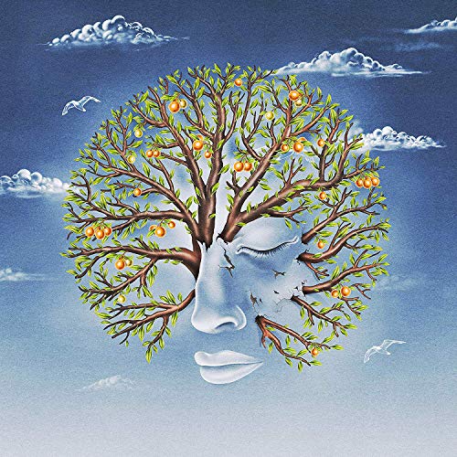 Face-shaped tree with oranges against a blue sky and clouds.