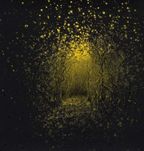 Dark forest tunnel with bright yellow specks, album cover art.