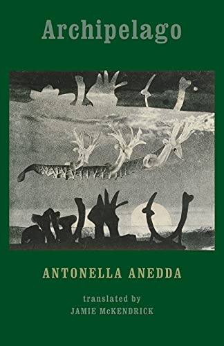 Book cover: "Archipelago" by Antonella Anedda, with abstract bird and coral imagery.