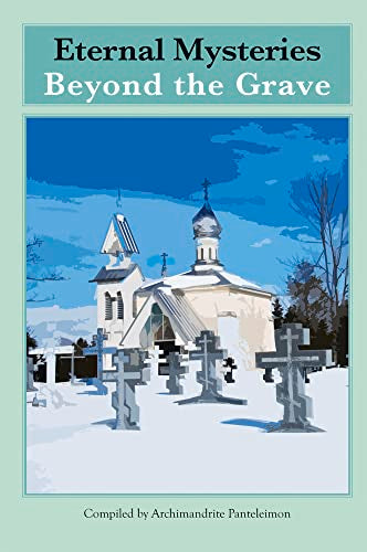 Book cover with snowy graveyard and church in the background.
