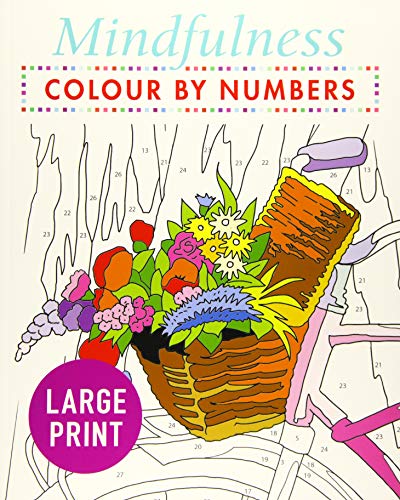 Cover of a colour-by-numbers book featuring a bicycle basket filled with colorful flowers.