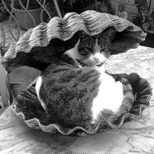 Black and white halftone image of a person holding a cat.